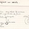 SESA Fichier Boyer Souilhe