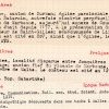 SESA Fichier Boyer Jonquières