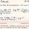 SESA Fichier Boyer Fontiers-Cabardès